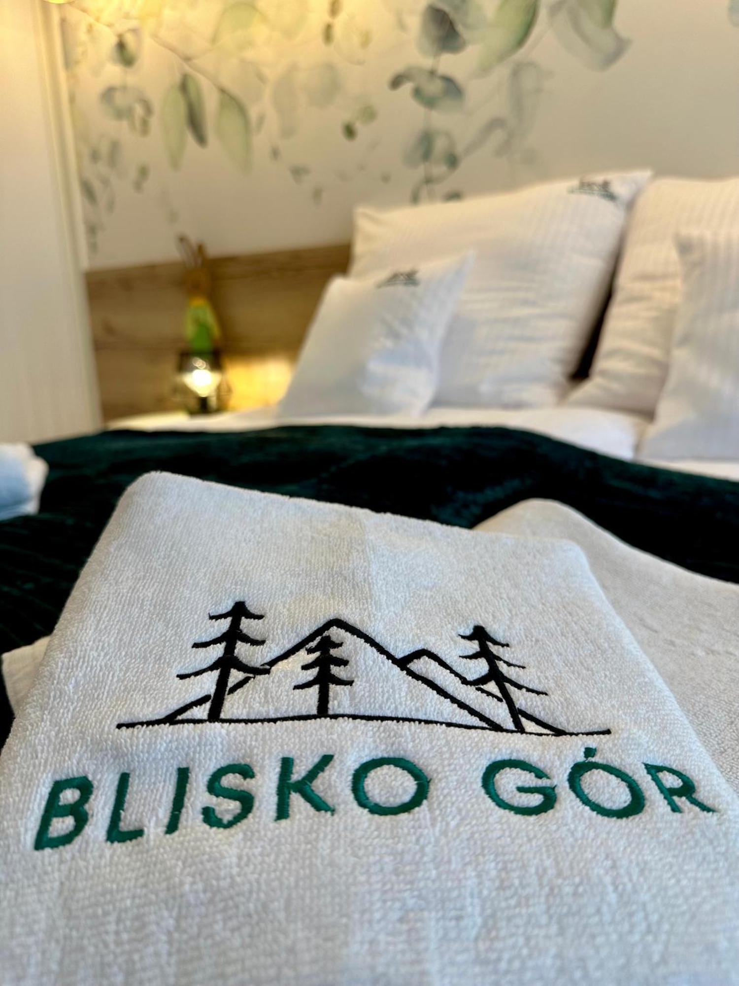 Blisko Gor Szyndzielnia Apartman Bielsko-Biała Kültér fotó